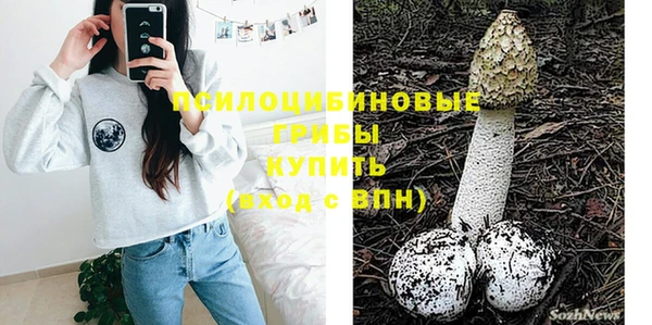 прущие грибы Нефтегорск