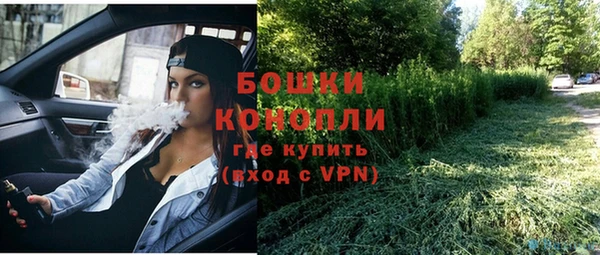 прущие грибы Нефтегорск