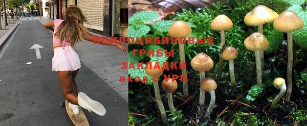 прущие грибы Нефтегорск