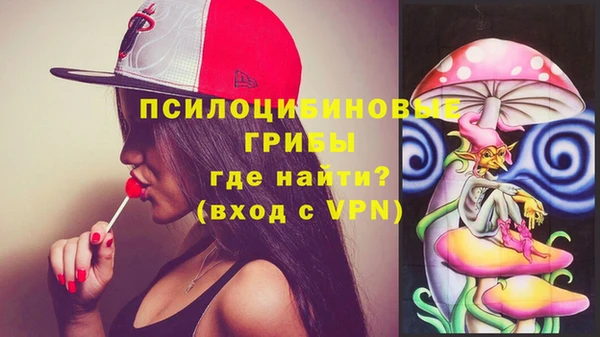 хмурый Нефтекумск