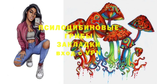 прущие грибы Нефтегорск