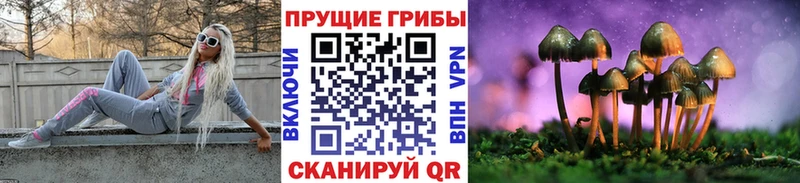 Псилоцибиновые грибы Magic Shrooms  Оренбург 